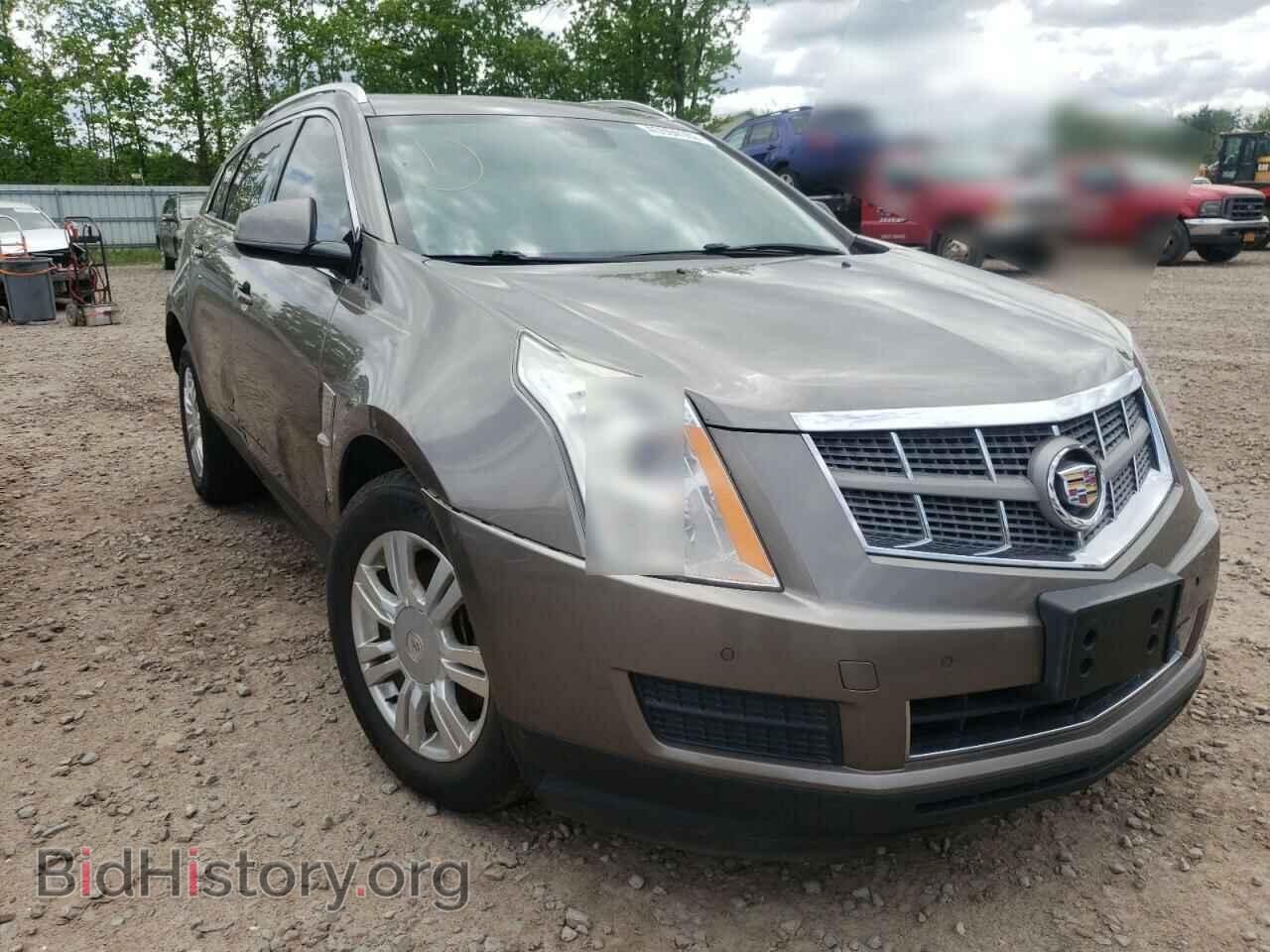 Фотография 3GYFNAEY1BS560955 - CADILLAC SRX 2011