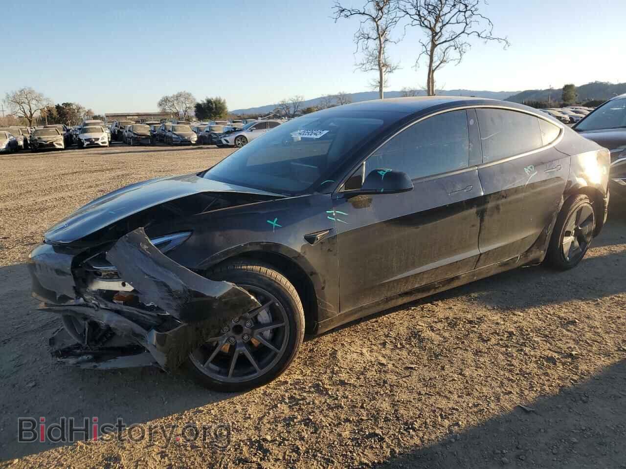 Photo 5YJ3E1EA1PF504073 - TESLA MODEL 3 2023