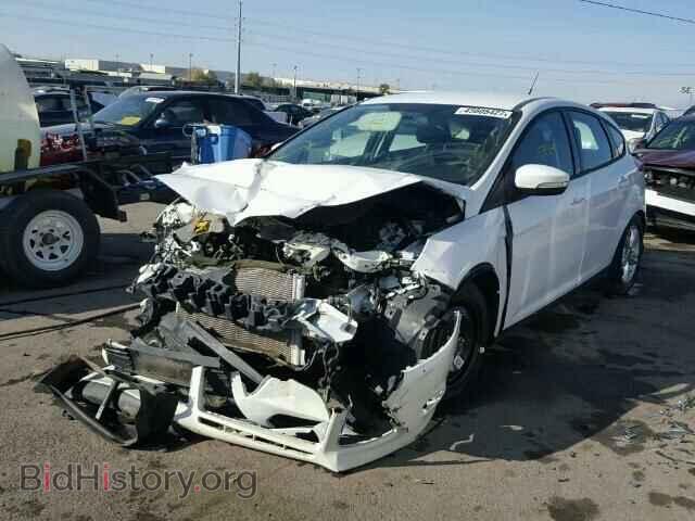 2013 FORD FOCUS - VIN: 1FADP3K29DL341517 - Фото 2