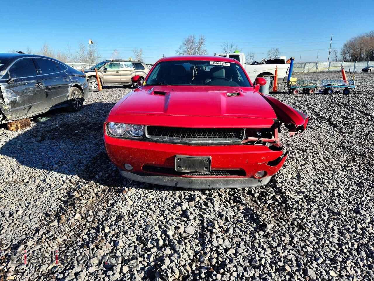 2013 DODGE CHALLENGER - VIN: 2C3CDYBT6DH501424 - Фото 5