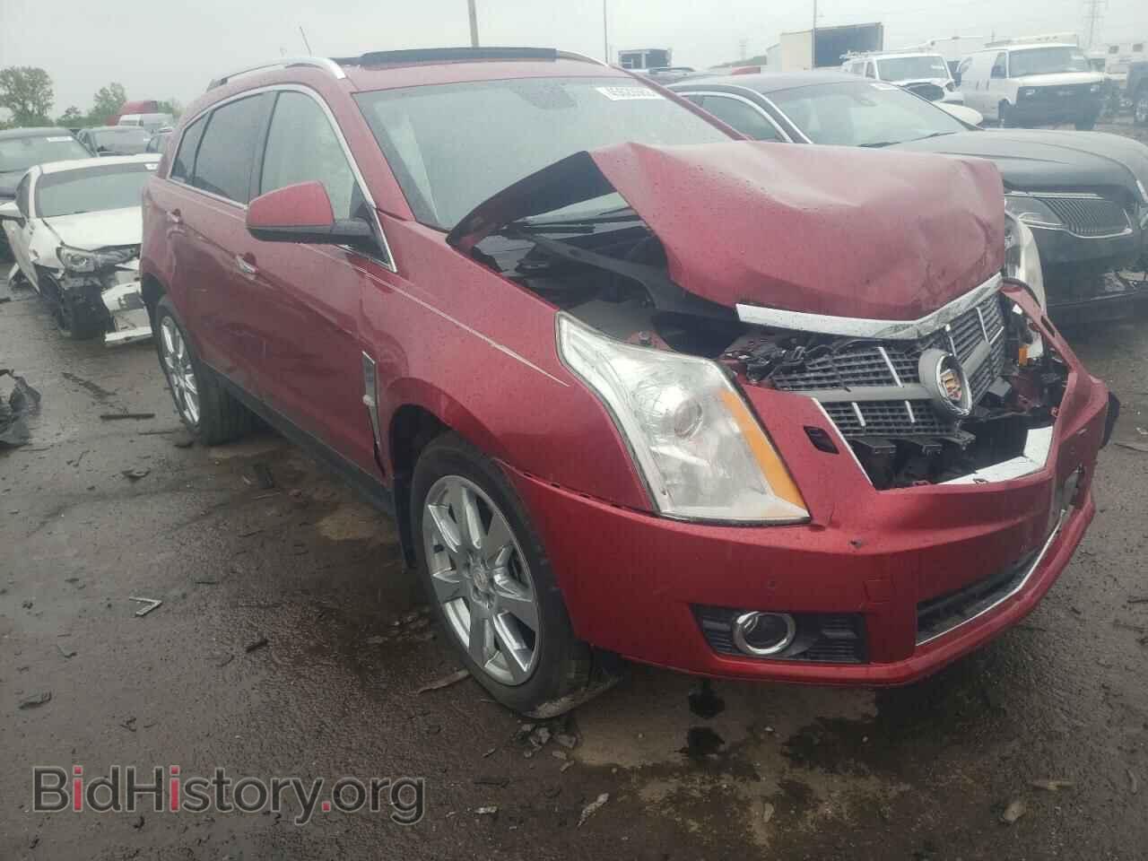 Фотография 3GYFNCE33CS555788 - CADILLAC SRX 2012