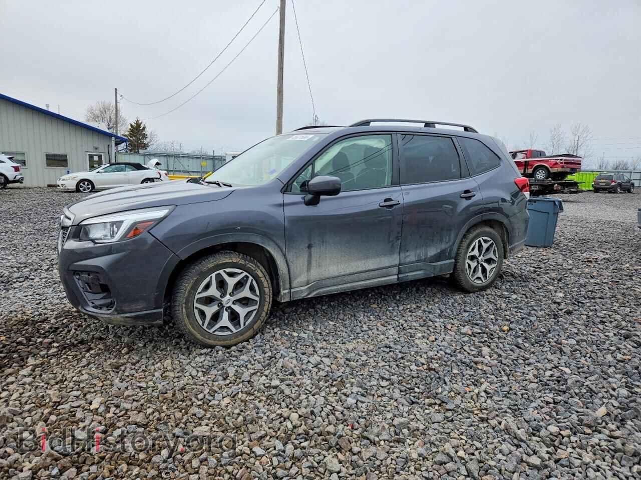 Фотография JF2SKAJC8LH533741 - SUBARU FORESTER 2020