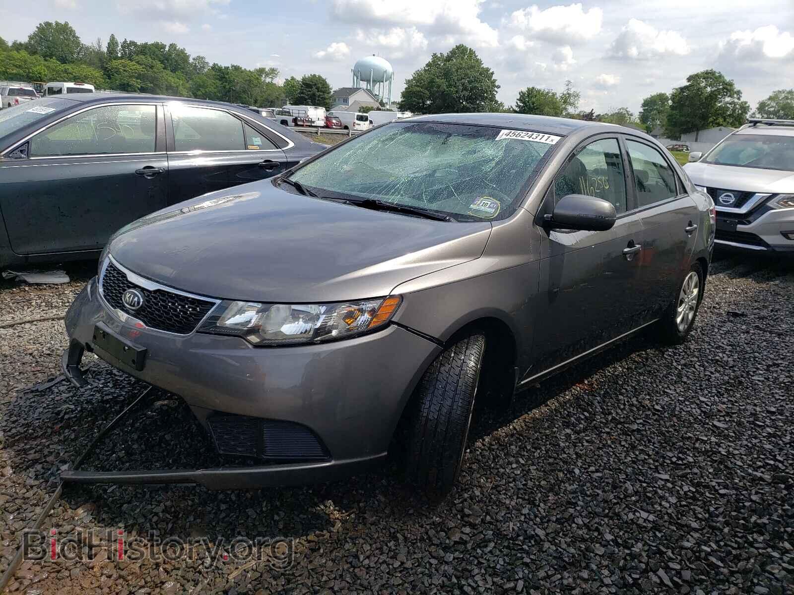 2013 KIA FORTE - VIN: KNAFU4A29D5698569 - Фото 2