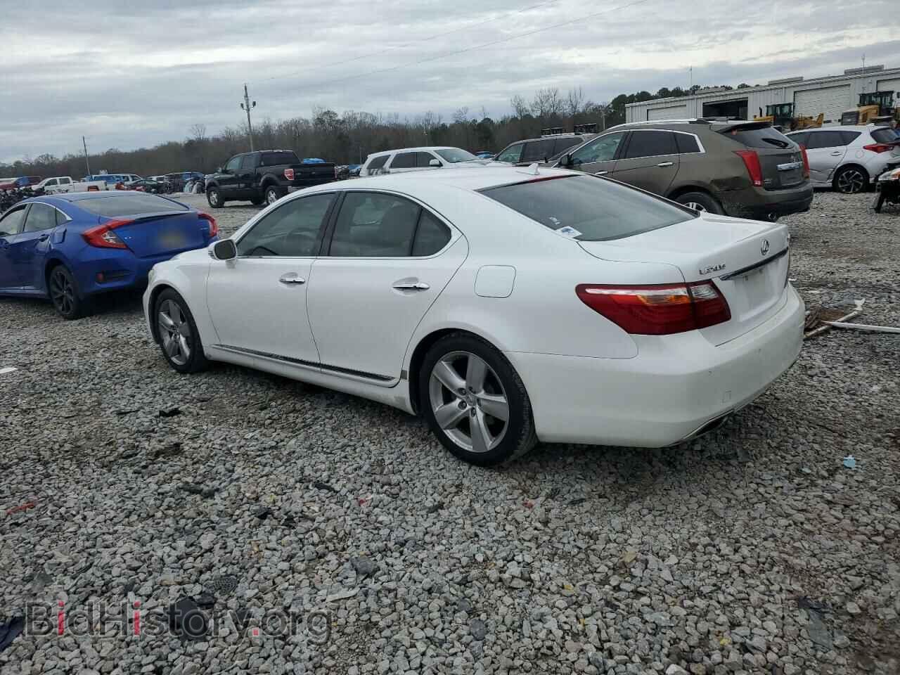 2010 LEXUS LS460 - VIN: JTHBL5EF2A5097814 - Фото 2
