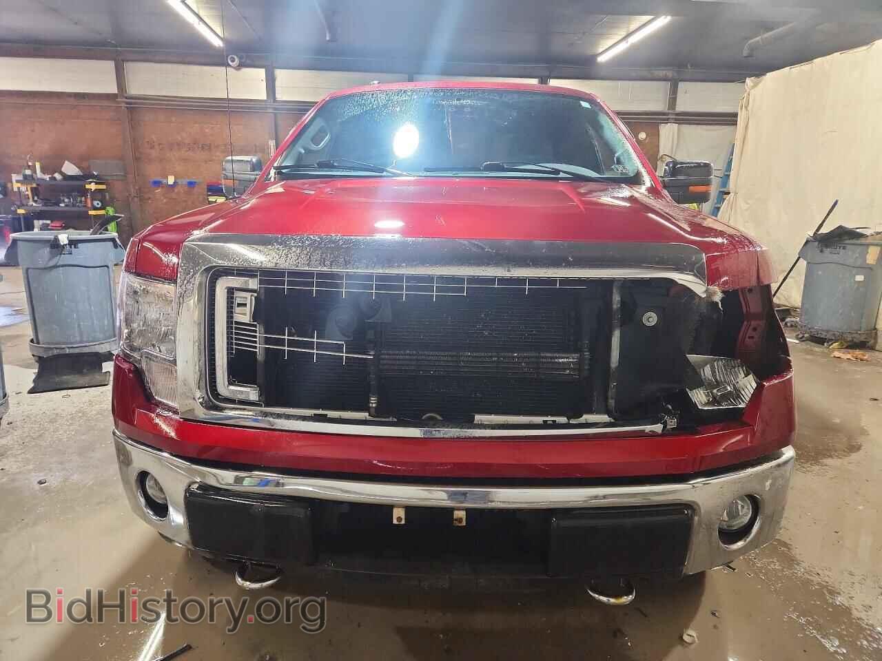 2013 FORD F150 - VIN: 1FTFX1EF9DFD46818 - Фото 5