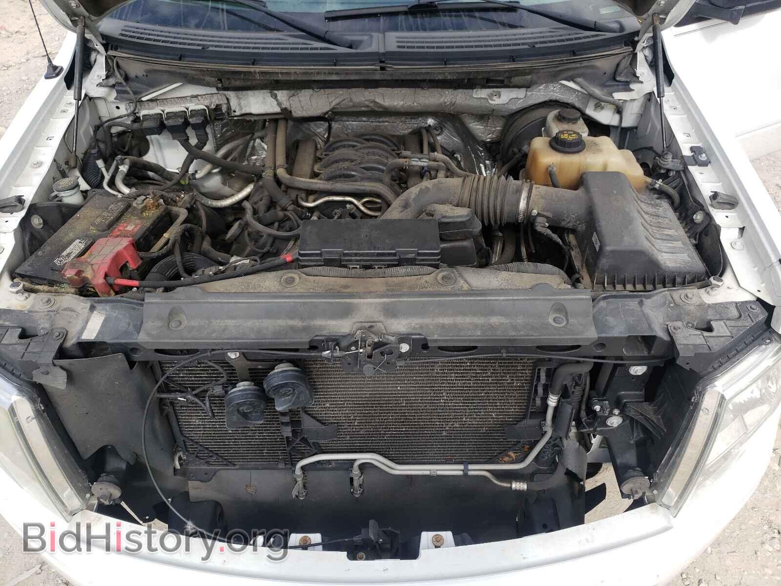 2013 FORD F150 - VIN: 1FTFX1CF2DKD40871 - Фото 7