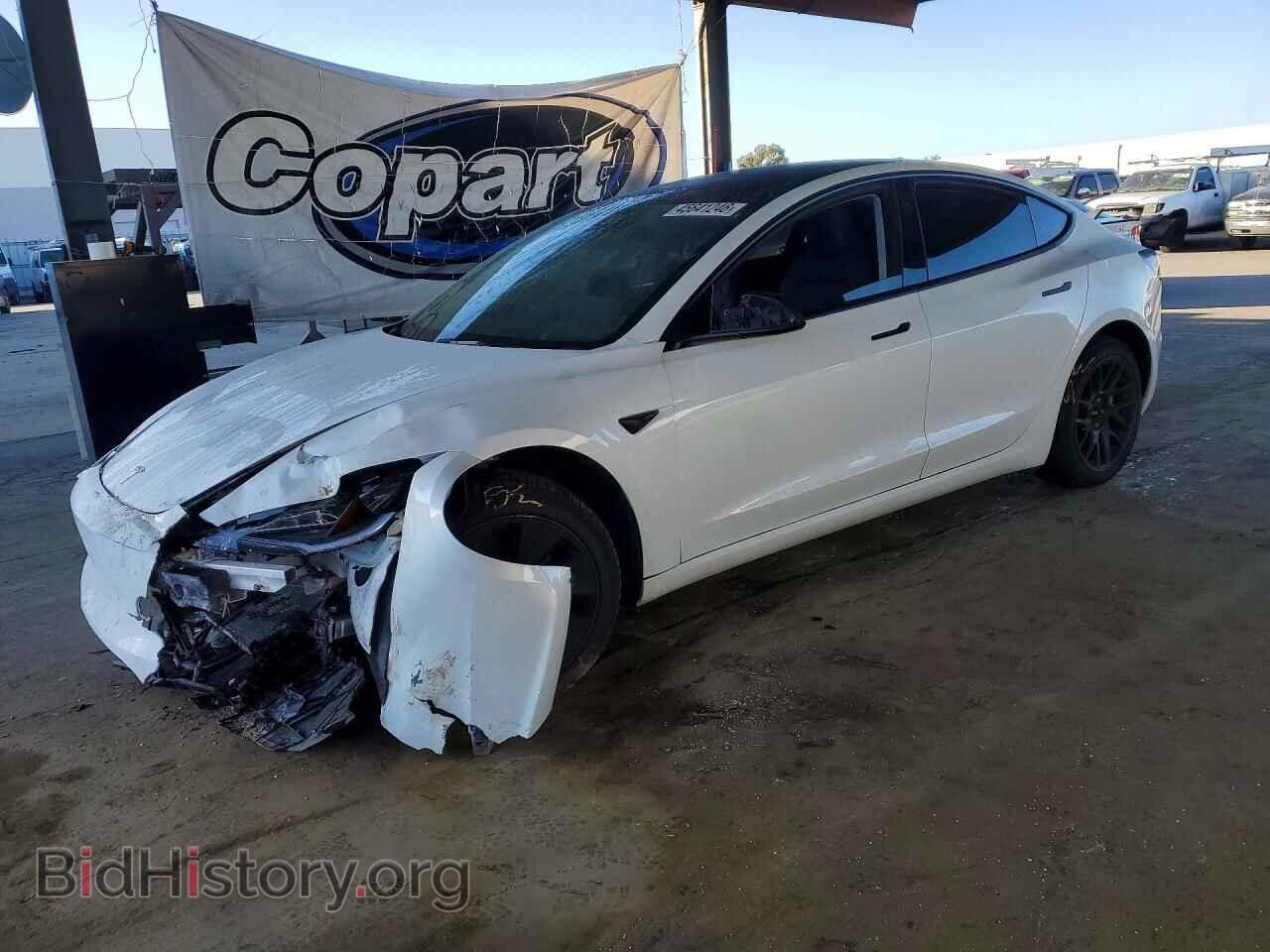 Photo 5YJ3E1EB7RF821187 - TESLA MODEL 3 2024