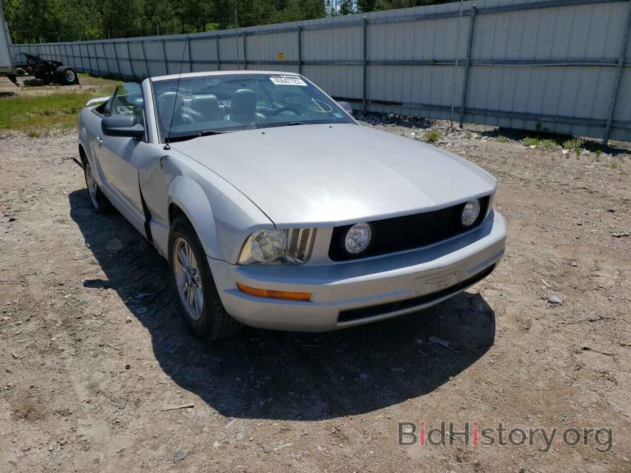 Photo 1ZVFT84N465138641 - FORD MUSTANG 2006