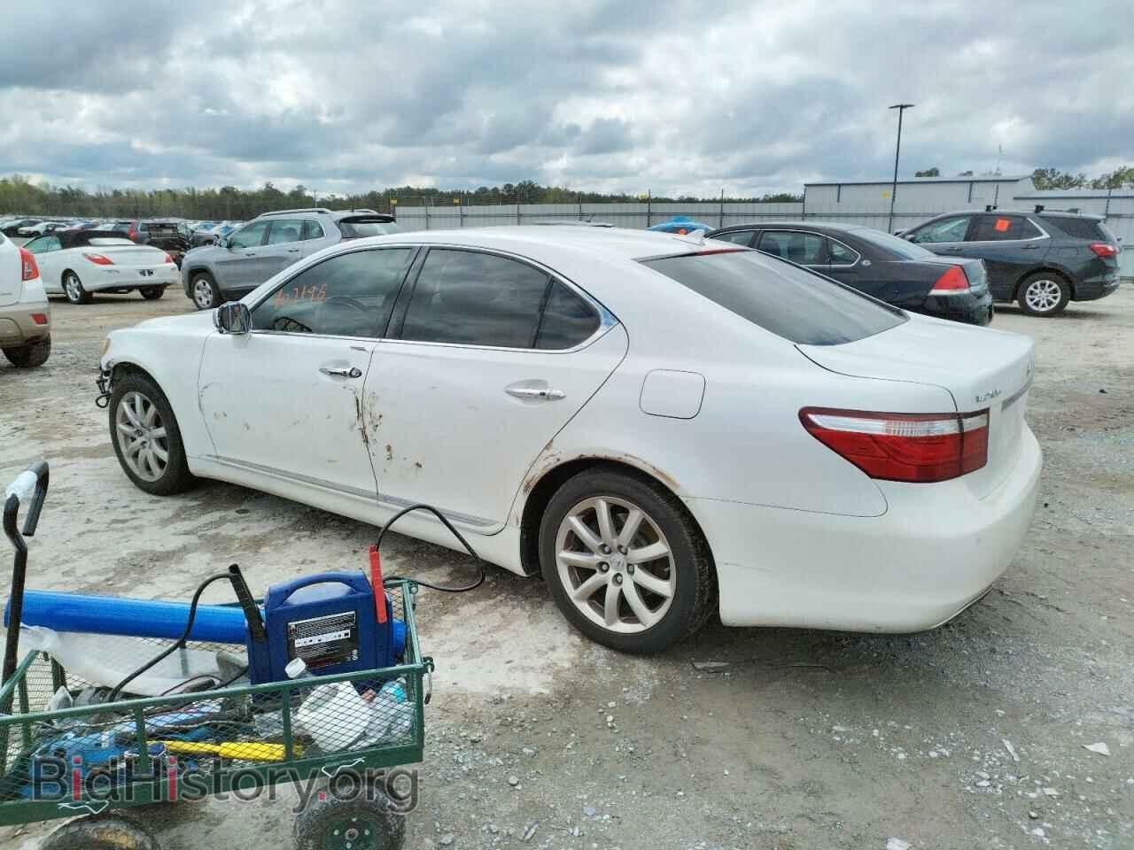 2008 LEXUS LS460 - VIN: JTHBL46F485070620 - Фото 2