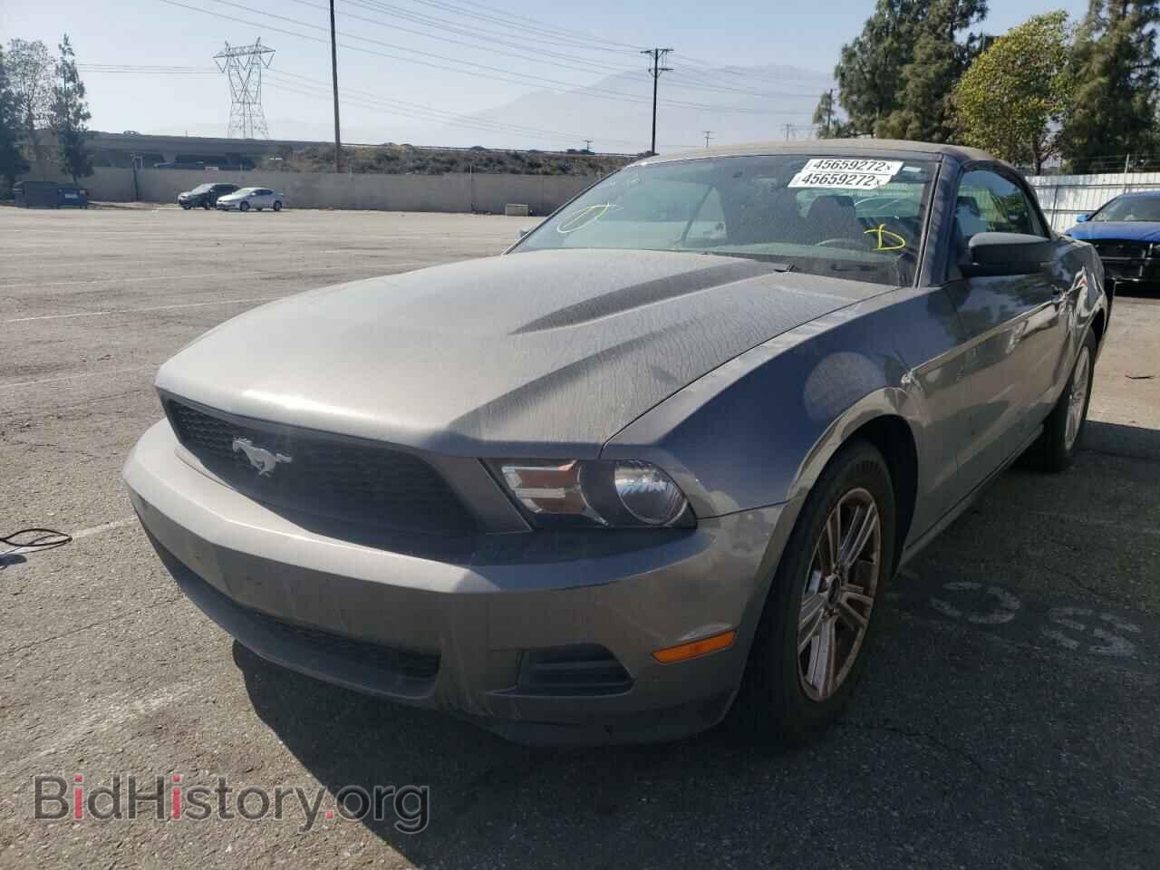 2011 FORD MUSTANG - VIN: 1ZVBP8EM3B5129464 - Фото 2