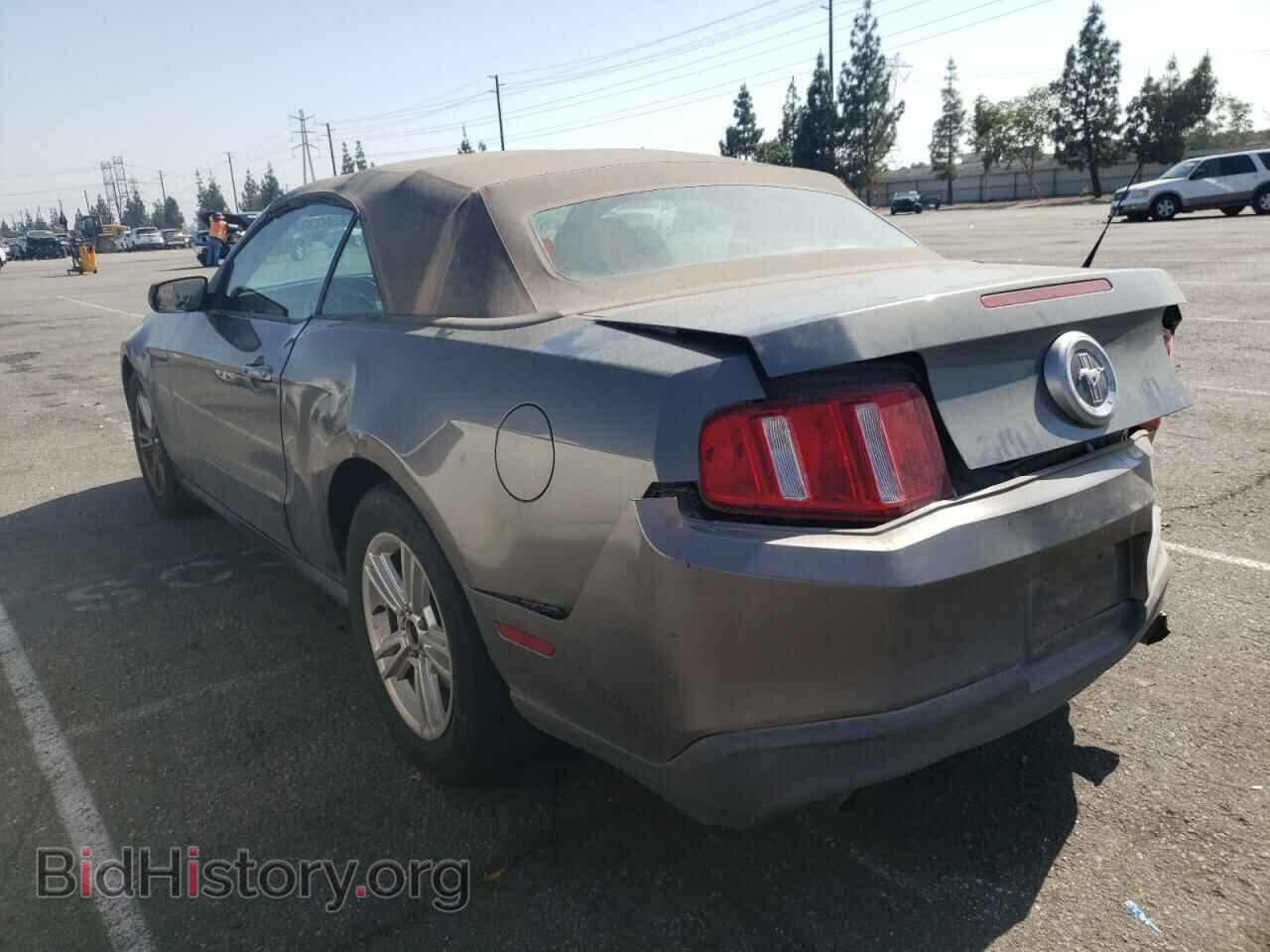 2011 FORD MUSTANG - VIN: 1ZVBP8EM3B5129464 - Фото 3