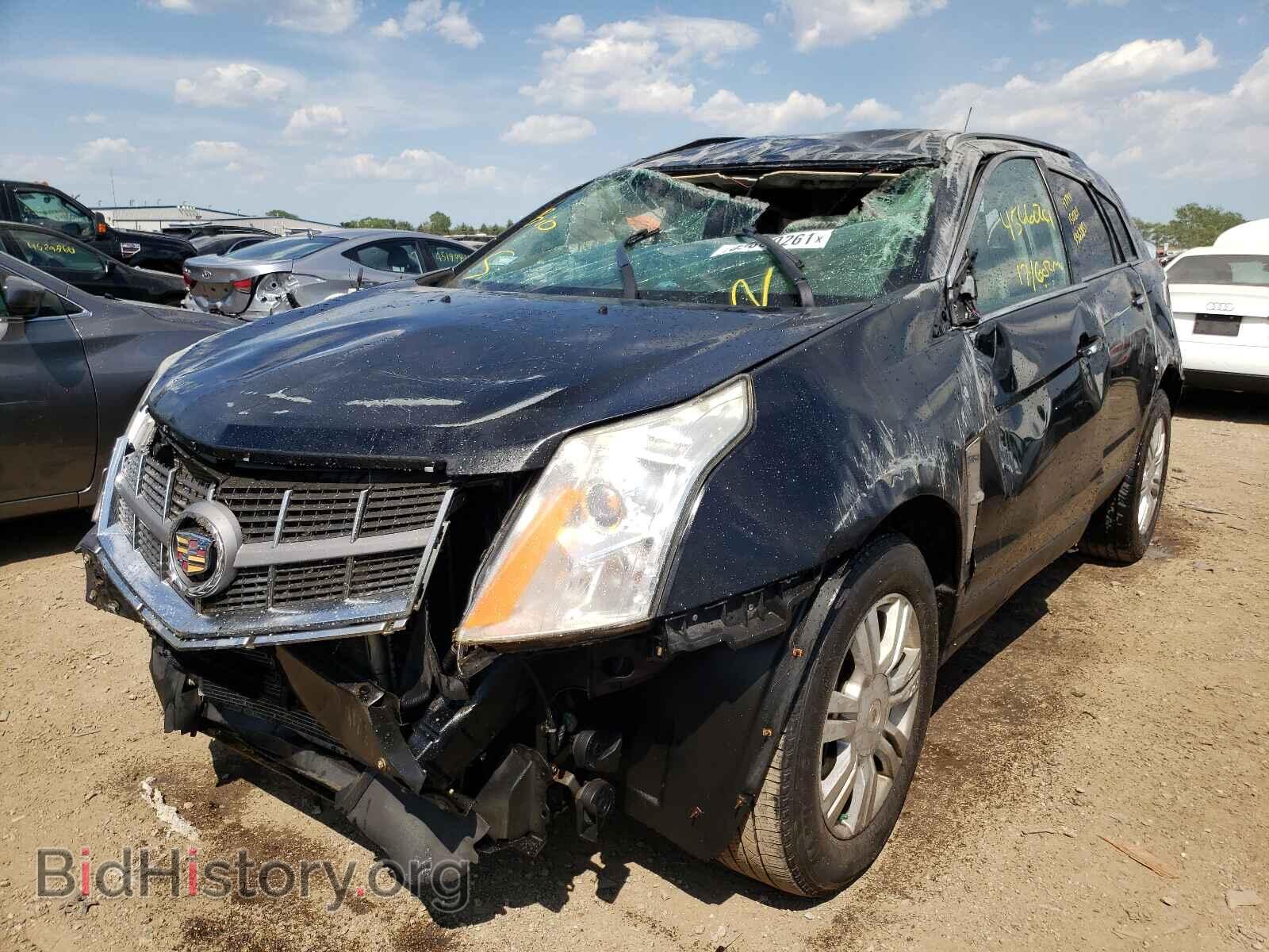 2011 CADILLAC SRX - VIN: 3GYFNGEY1BS548579 - Фото 2