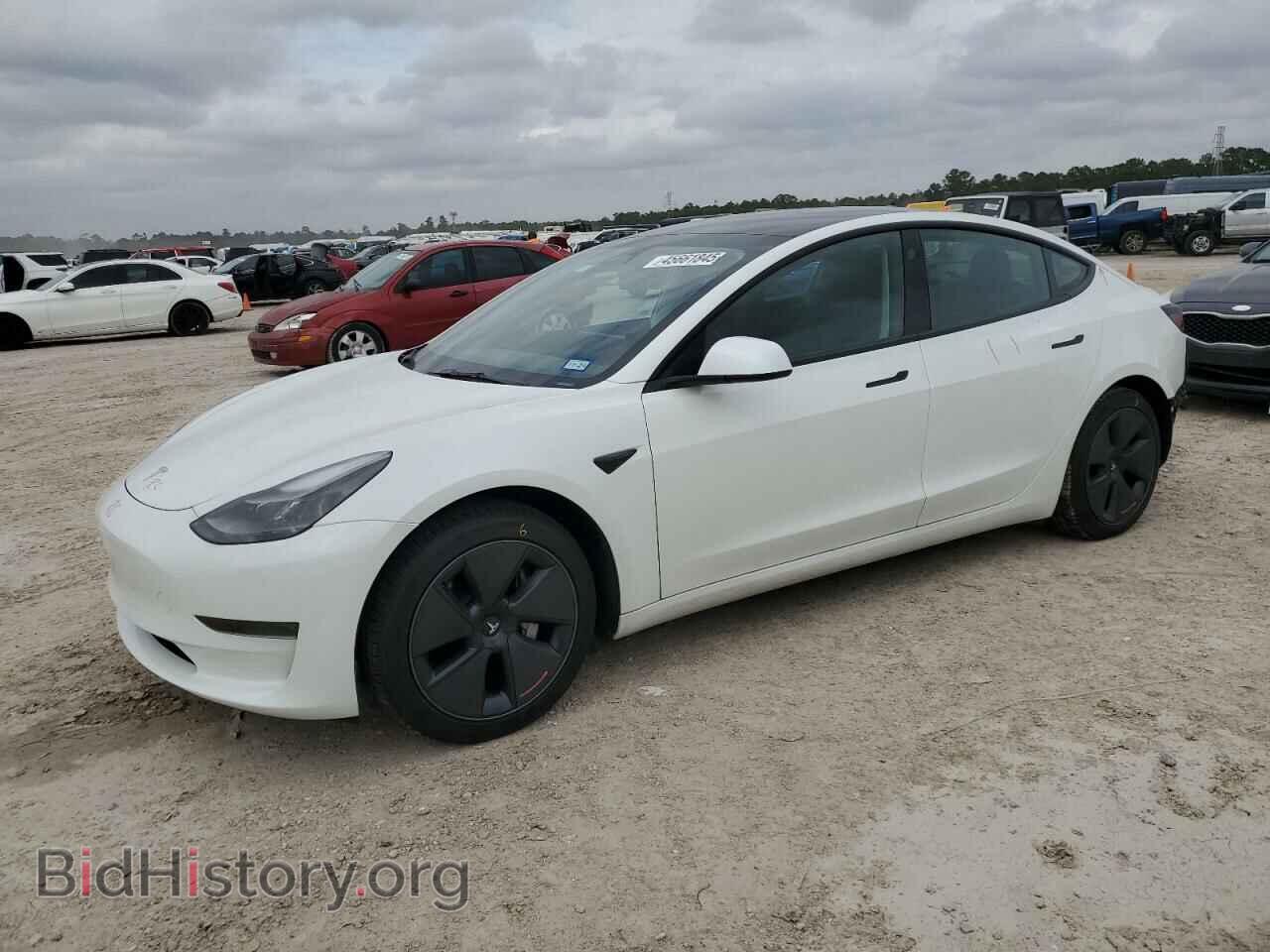 Photo 5YJ3E1EA7PF666077 - TESLA MODEL 3 2023