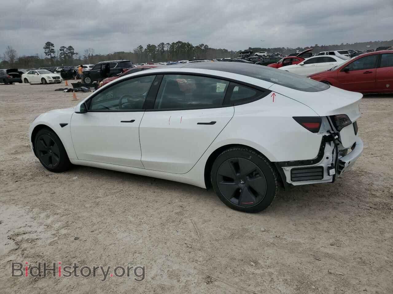 2023 TESLA MODEL 3 - VIN: 5YJ3E1EA7PF666077 - Photo 2