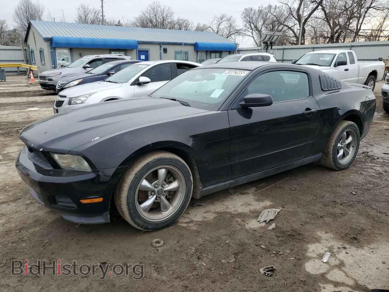 Фотография 1ZVBP8AM2C5260585 - FORD ALL Models 2012