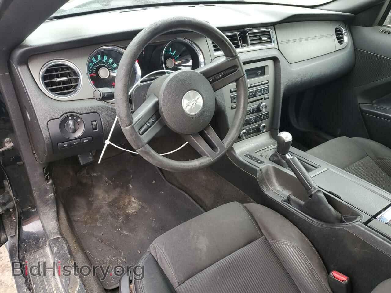 2012 FORD ALL Models - VIN: 1ZVBP8AM2C5260585 - Фото 8