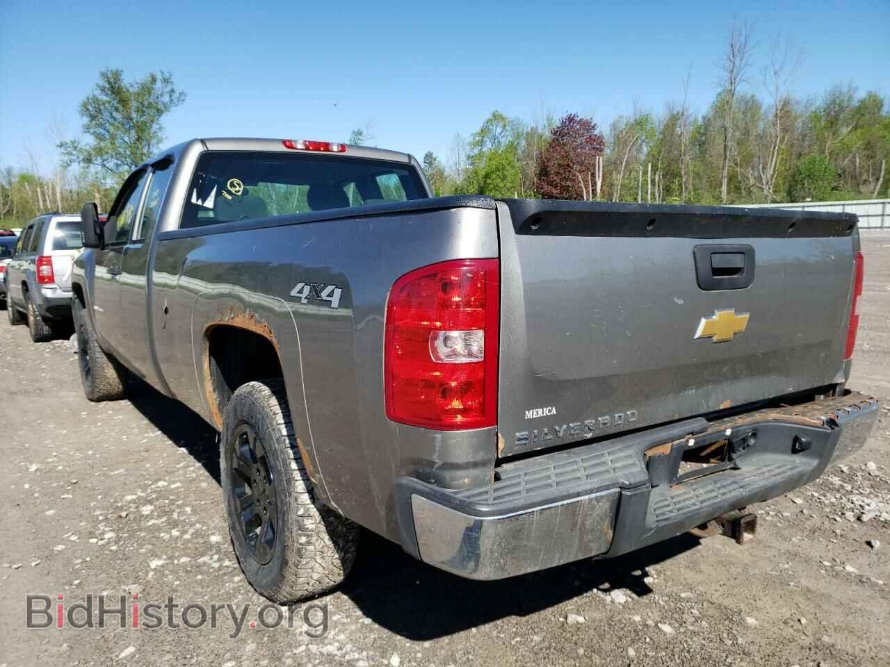 2013 CHEVROLET SILVERADO - VIN: 1GCRKPE04DZ282471 - Фото 3