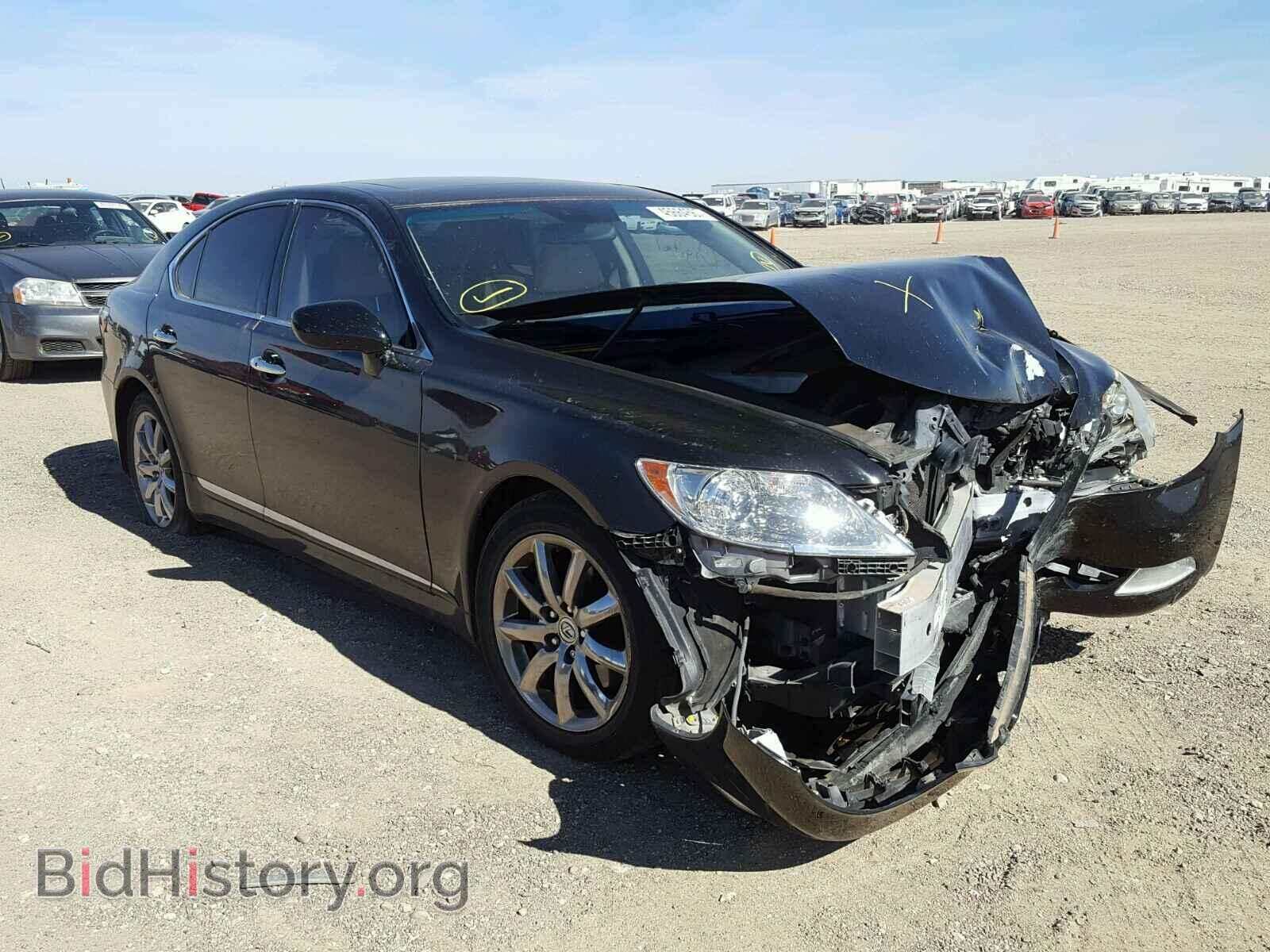 Фотография JTHBL46F885074833 - LEXUS LS460 2008
