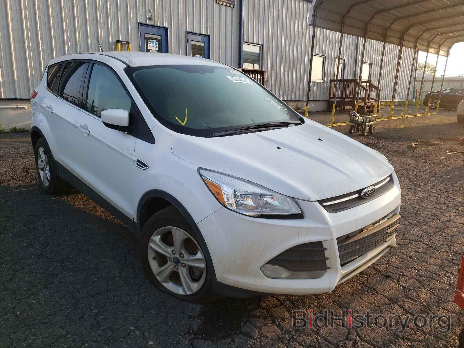 Photo 1FMCU9GX0DUB10162 - FORD ESCAPE 2013