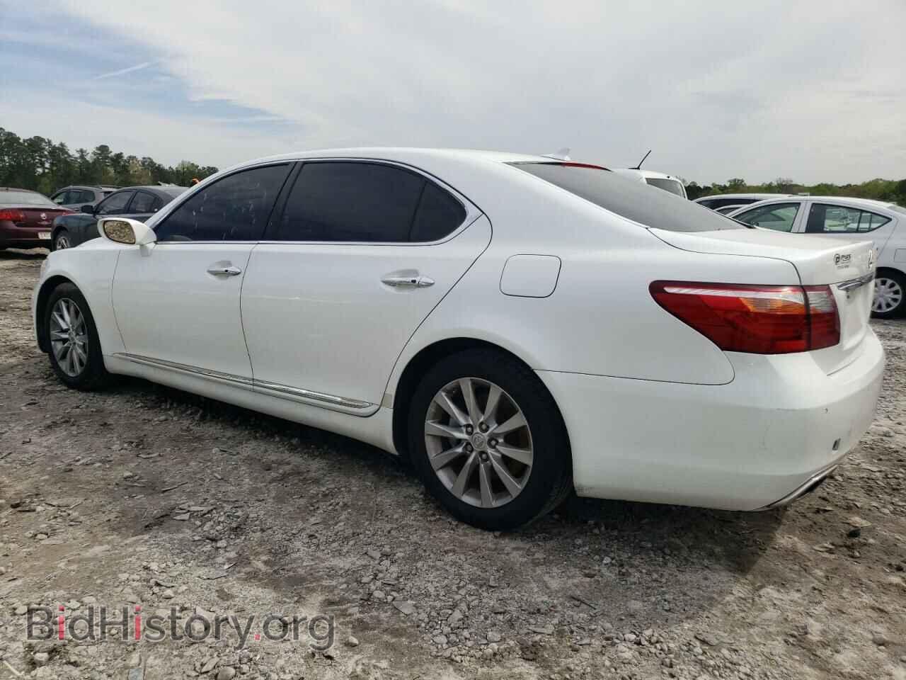 2011 LEXUS LS460 - VIN: JTHDL5EF2B5003229 - Фото 2