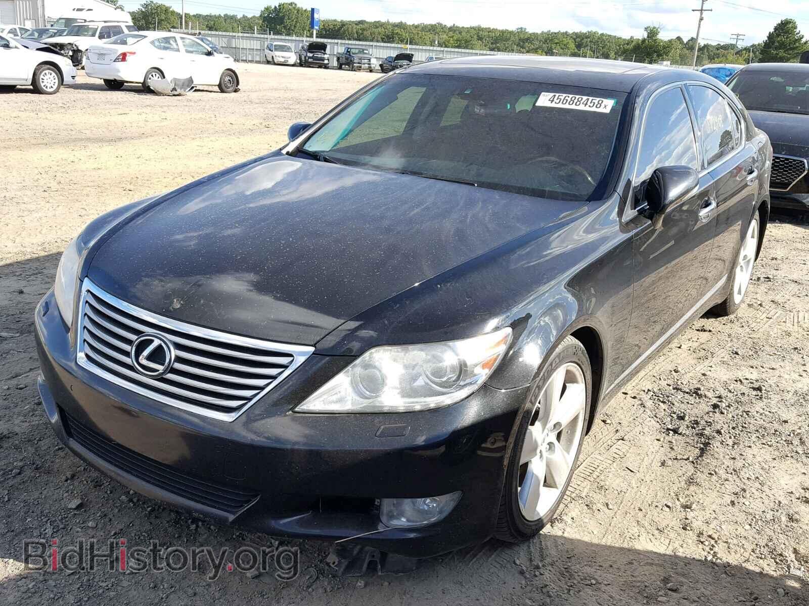 2012 LEXUS LS460 - VIN: JTHBL5EF5C5111787 - Фото 2