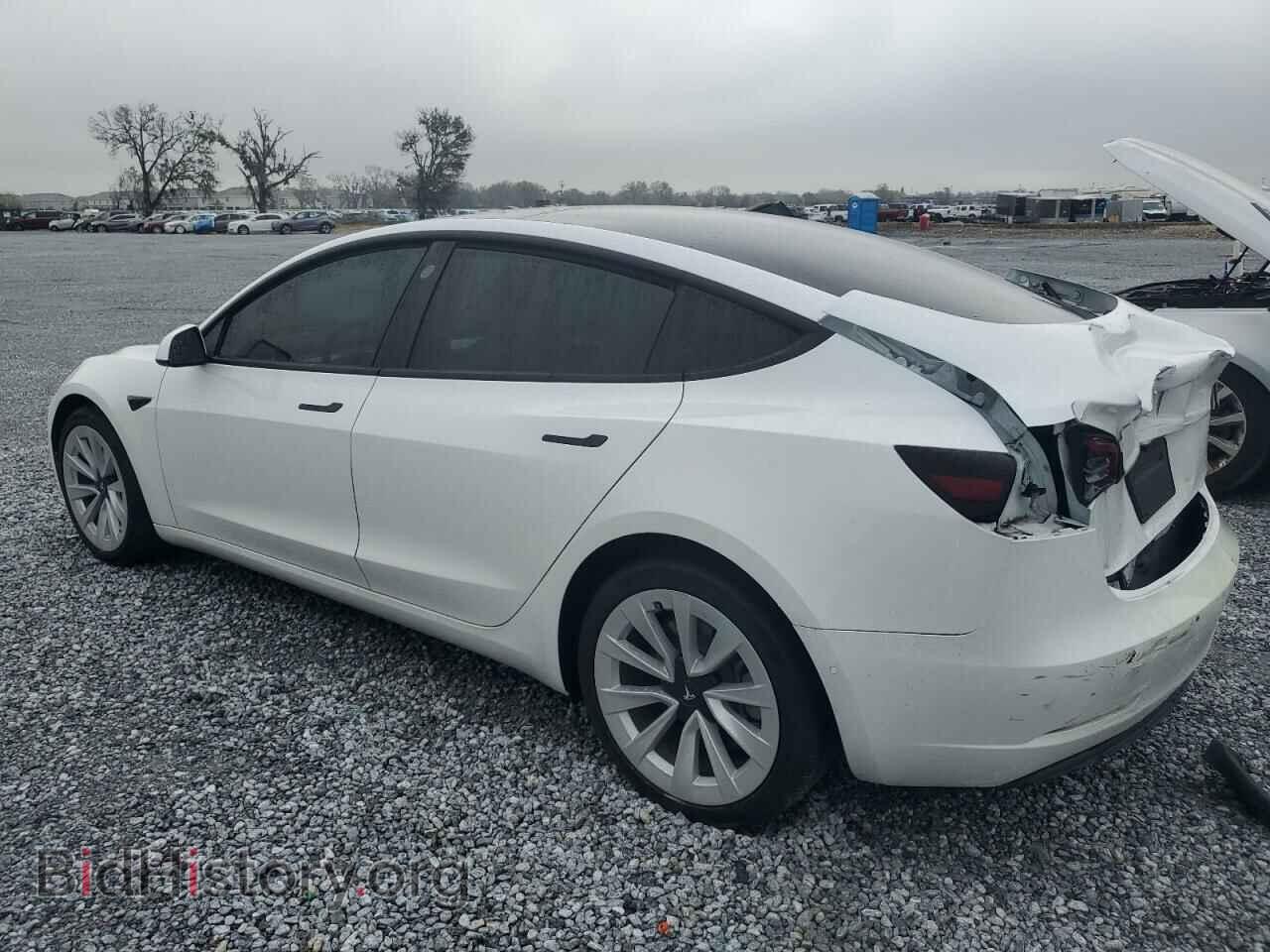 2021 TESLA MODEL 3 - VIN: 5YJ3E1EA8MF978095 - Фото 2