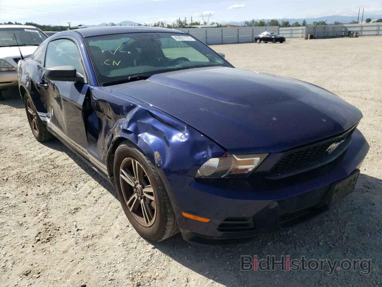 Photo 1ZVBP8AN3A5135889 - FORD MUSTANG 2010