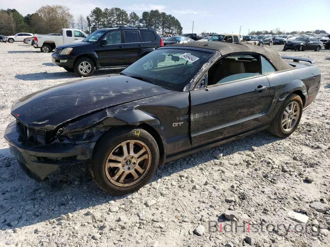 Photo 1ZVHT85H175197536 - FORD MUSTANG 2007