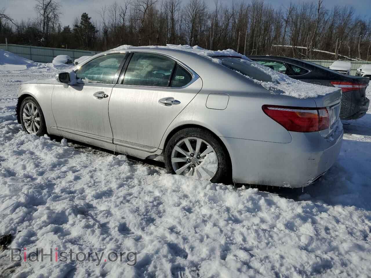 2011 LEXUS LS460 - VIN: JTHCL5EF6B5009224 - Фото 2