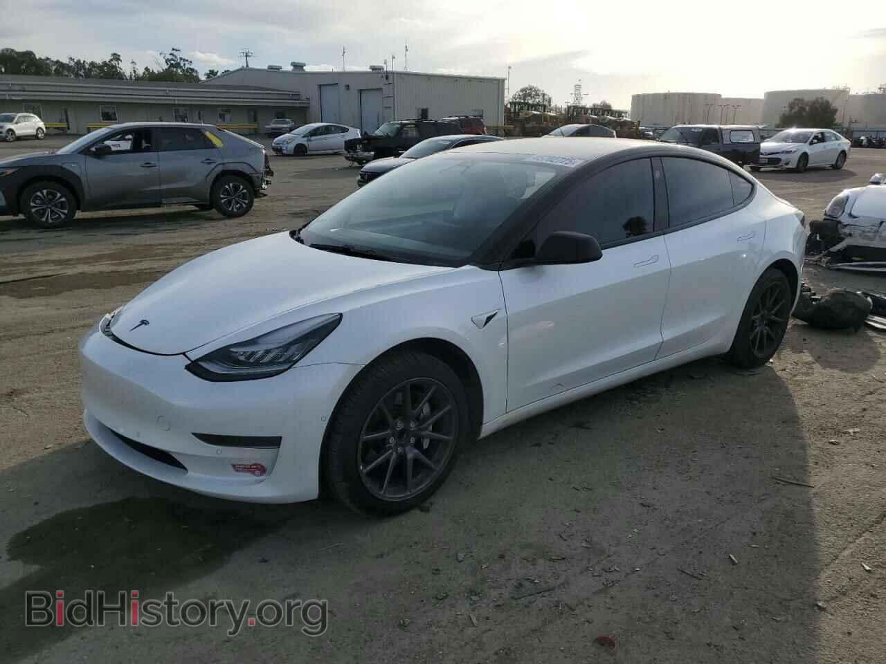 Фотография 5YJ3E1EA1KF485677 - TESLA MODEL 3 2019