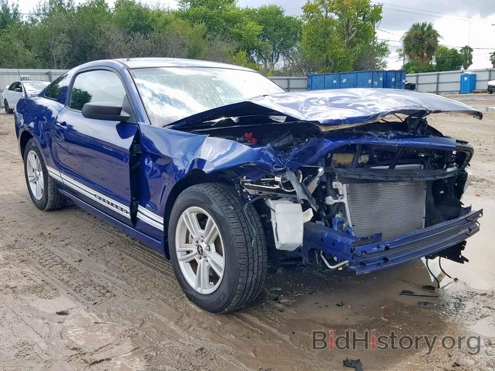 Photo 1ZVBP8AMXD5265910 - FORD MUSTANG 2013