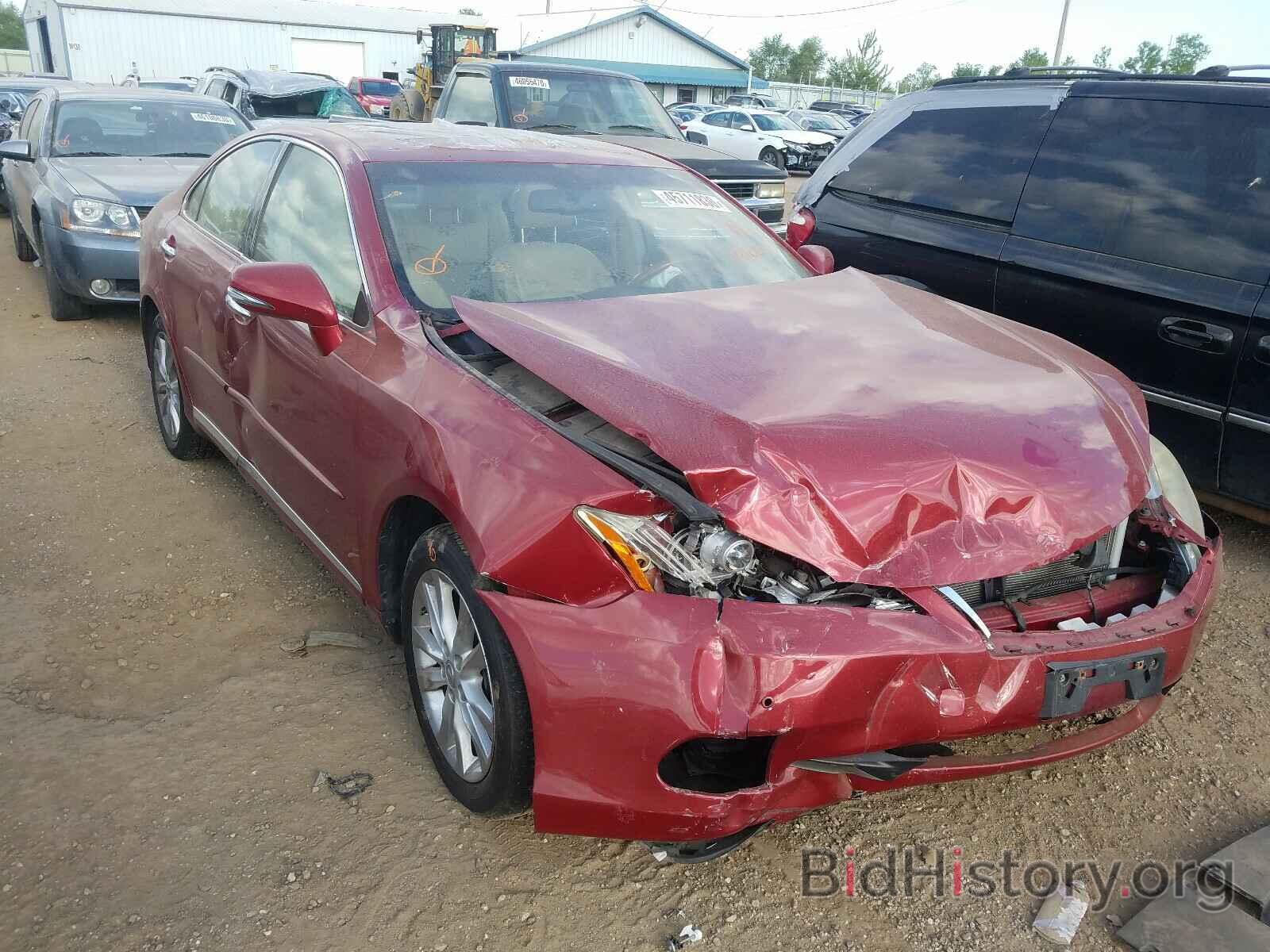 Photo JTHBK1EG5A2391004 - LEXUS ES350 2010