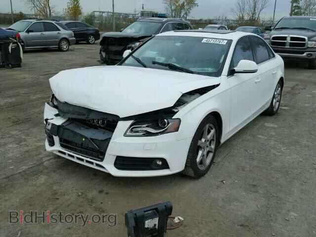 2009 AUDI A4 - VIN: WAULF68K89N016321 - Фото 2