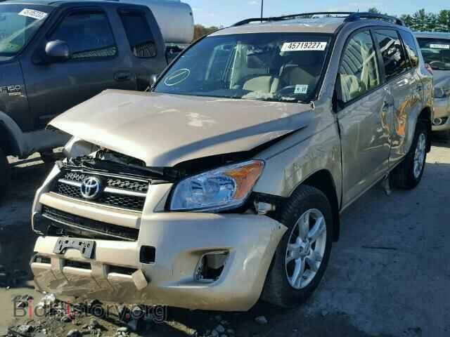 2011 TOYOTA RAV4 - VIN: 2T3BF4DV8BW163269 - Фото 2