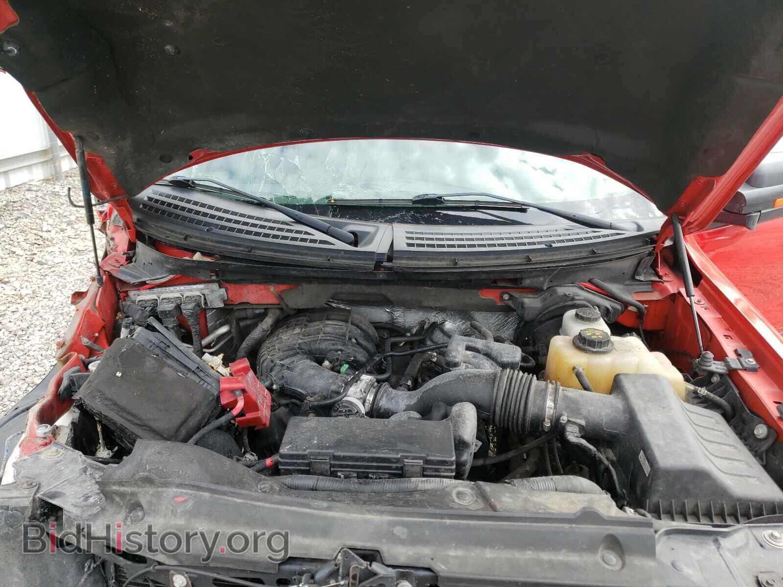 2013 FORD F150 - VIN: 1FTEX1EM4DFD32724 - Фото 7