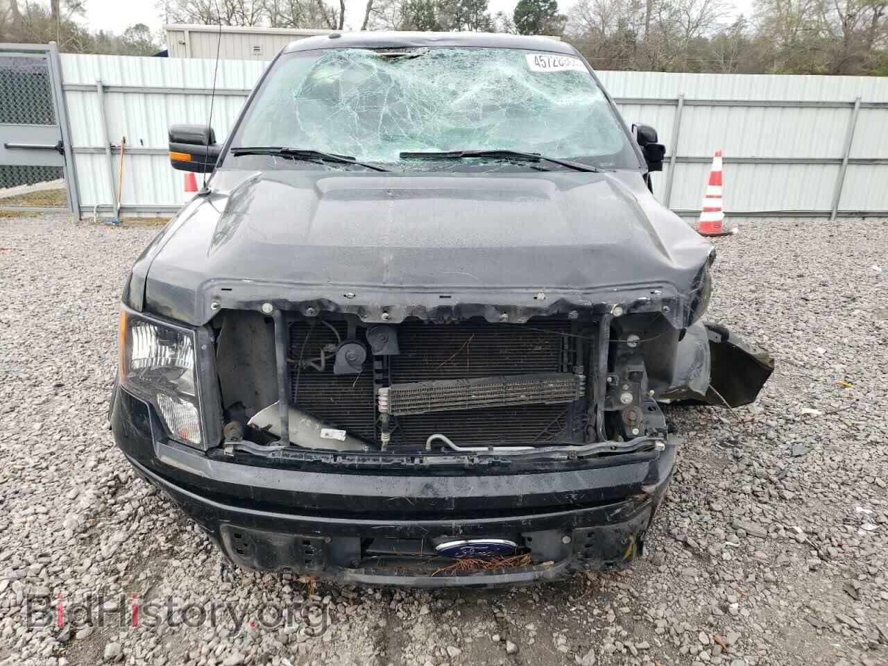 2013 FORD F-150 - VIN: 1FTFX1CF6DFD75213 - Фото 5