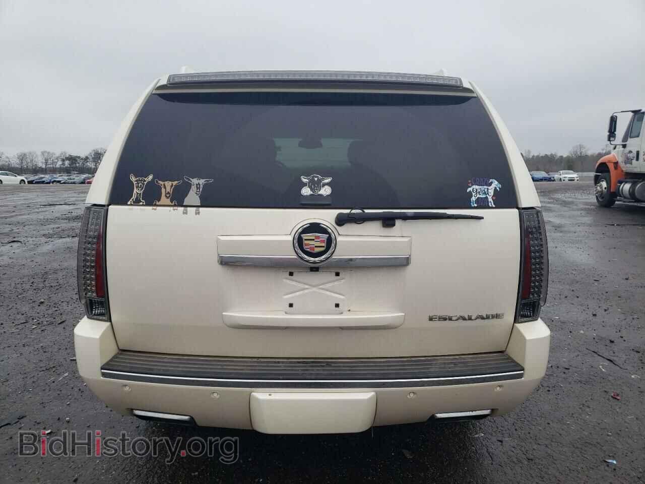 2013 CADILLAC ESCALADE - VIN: 1GYS4JEF7DR253229 - Photo 6