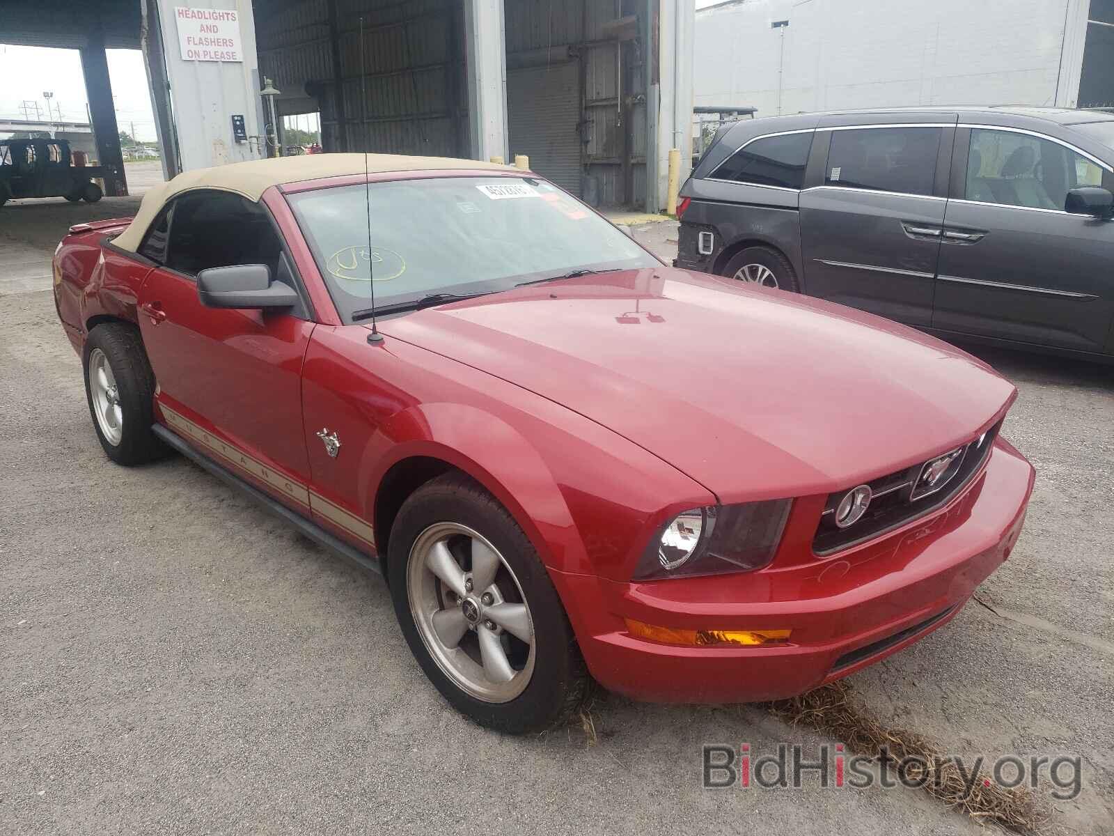 Photo 1ZVHT84N995143363 - FORD MUSTANG 2009