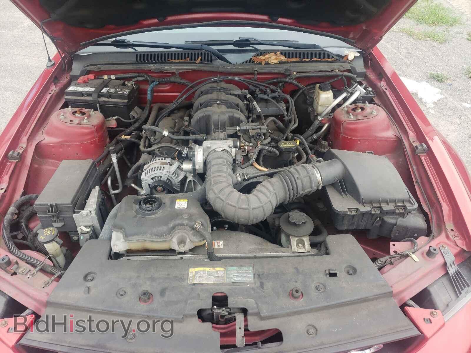 2009 FORD MUSTANG - VIN: 1ZVHT84N995143363 - Фото 7
