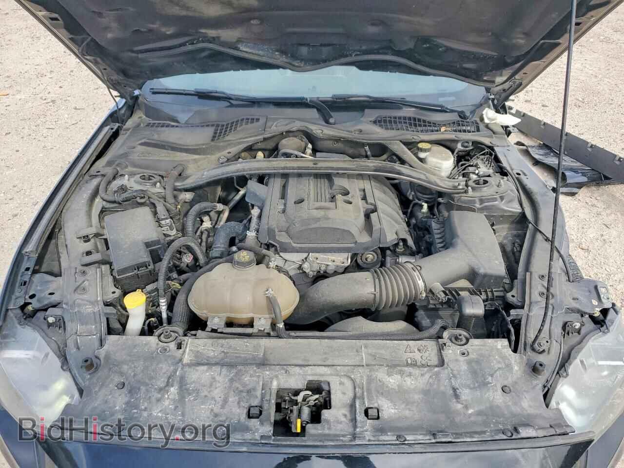 2019 FORD MUSTANG - VIN: 1FA6P8TH6K5118216 - Фото 11
