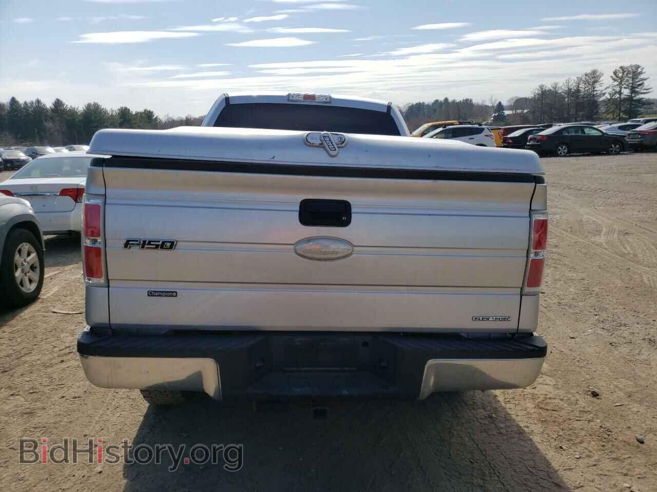 2011 FORD F-150 - VIN: 1FTFX1EF2BFC21656 - Фото 6