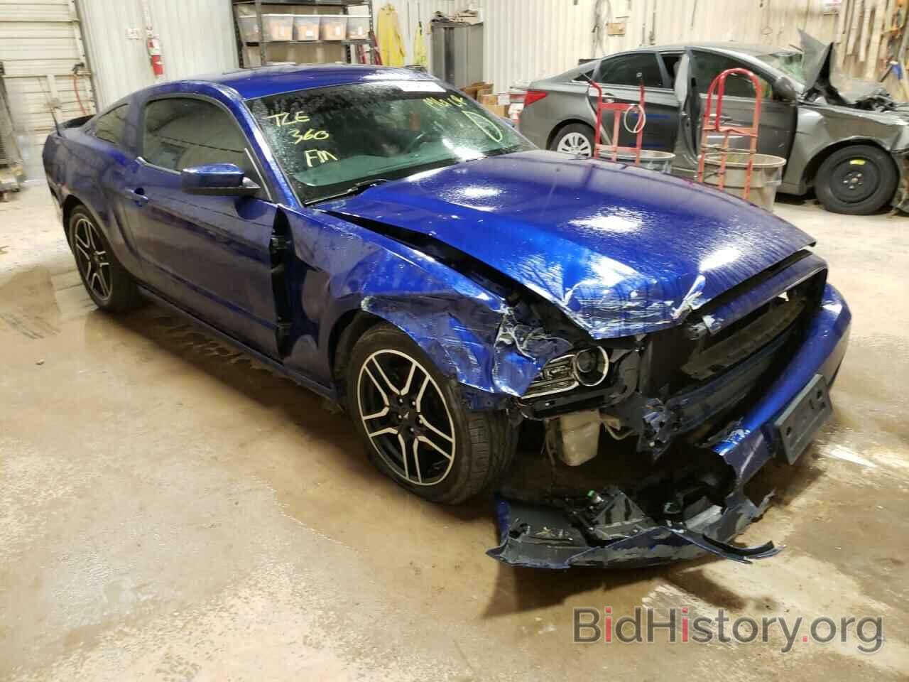 Photo 1ZVBP8AM2E5221739 - FORD MUSTANG 2014