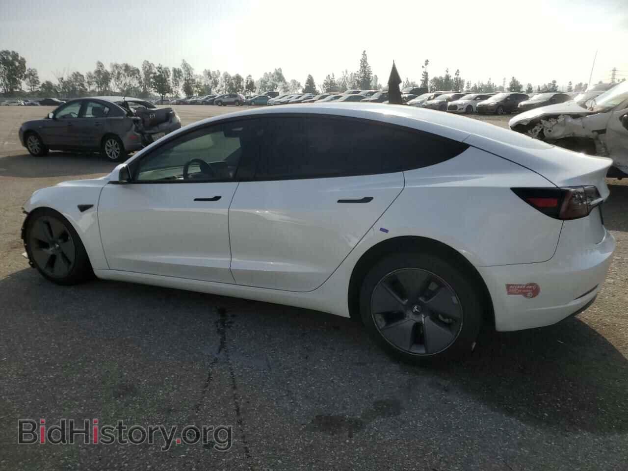 2023 TESLA MODEL 3 - VIN: 5YJ3E1EA3PF409112 - Photo 2