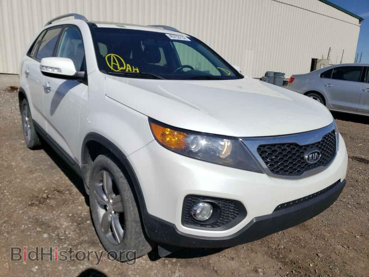 Photo 5XYKUDA24DG317199 - KIA SORENTO 2013