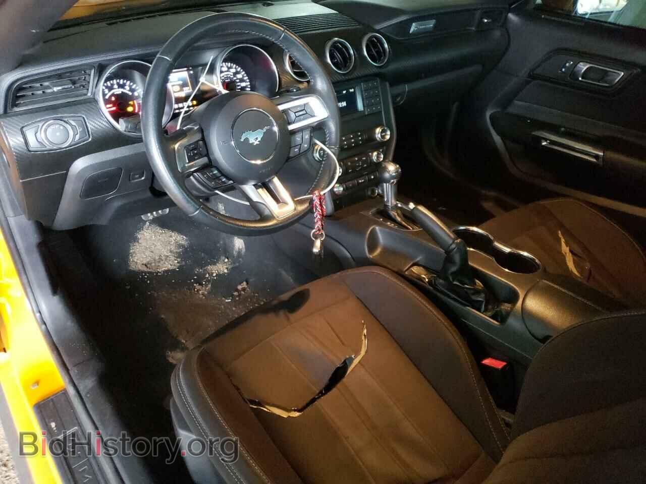 2019 FORD ALL Models - VIN: 1FA6P8TH2K5178347 - Фото 8