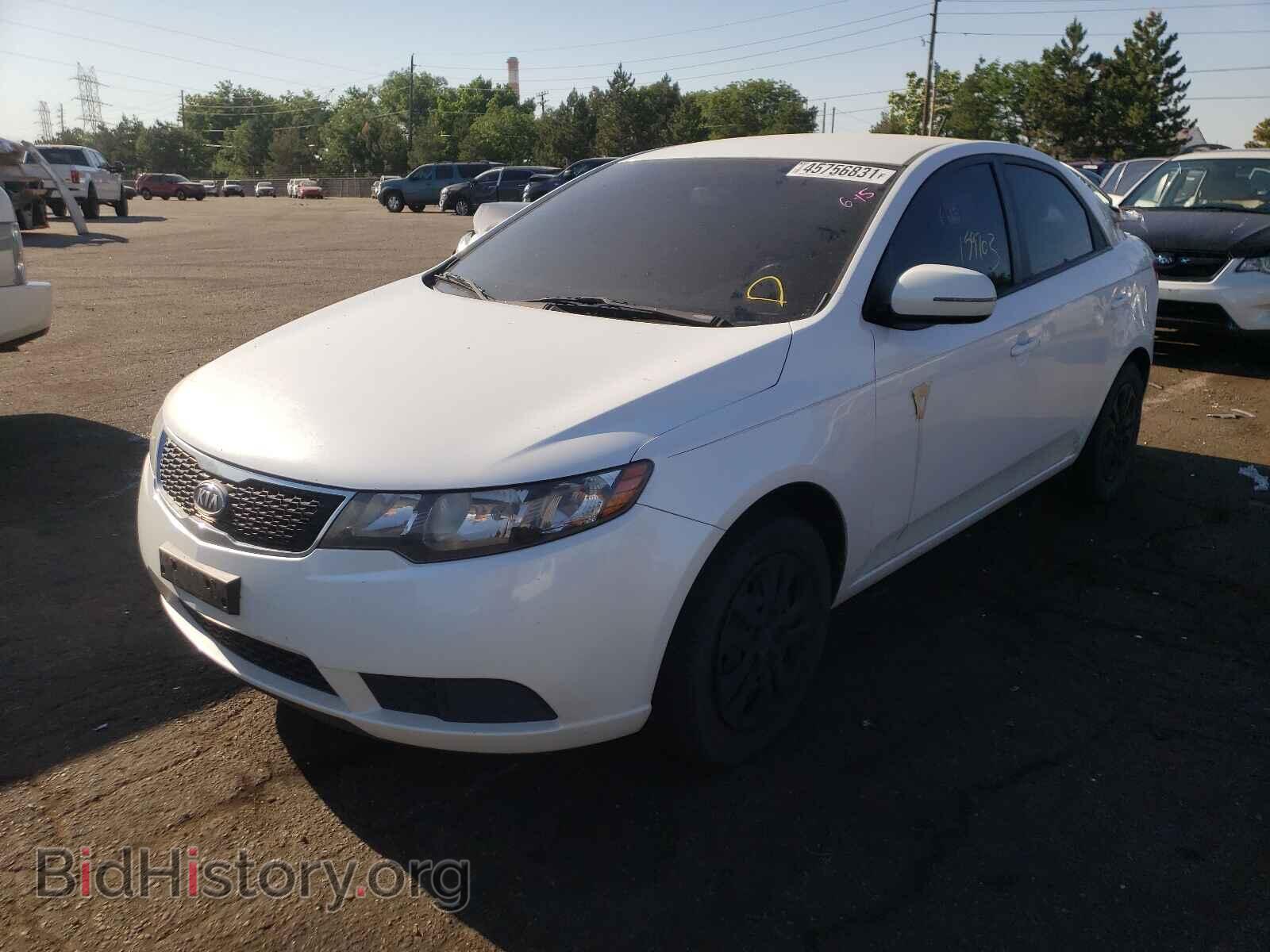2012 KIA FORTE - VIN: KNAFU4A23C5527556 - Фото 2
