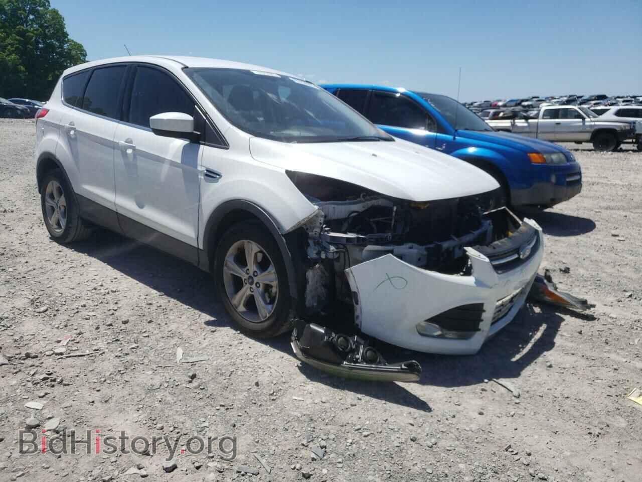 Фотография 1FMCU0GX2EUD02583 - FORD ESCAPE 2014