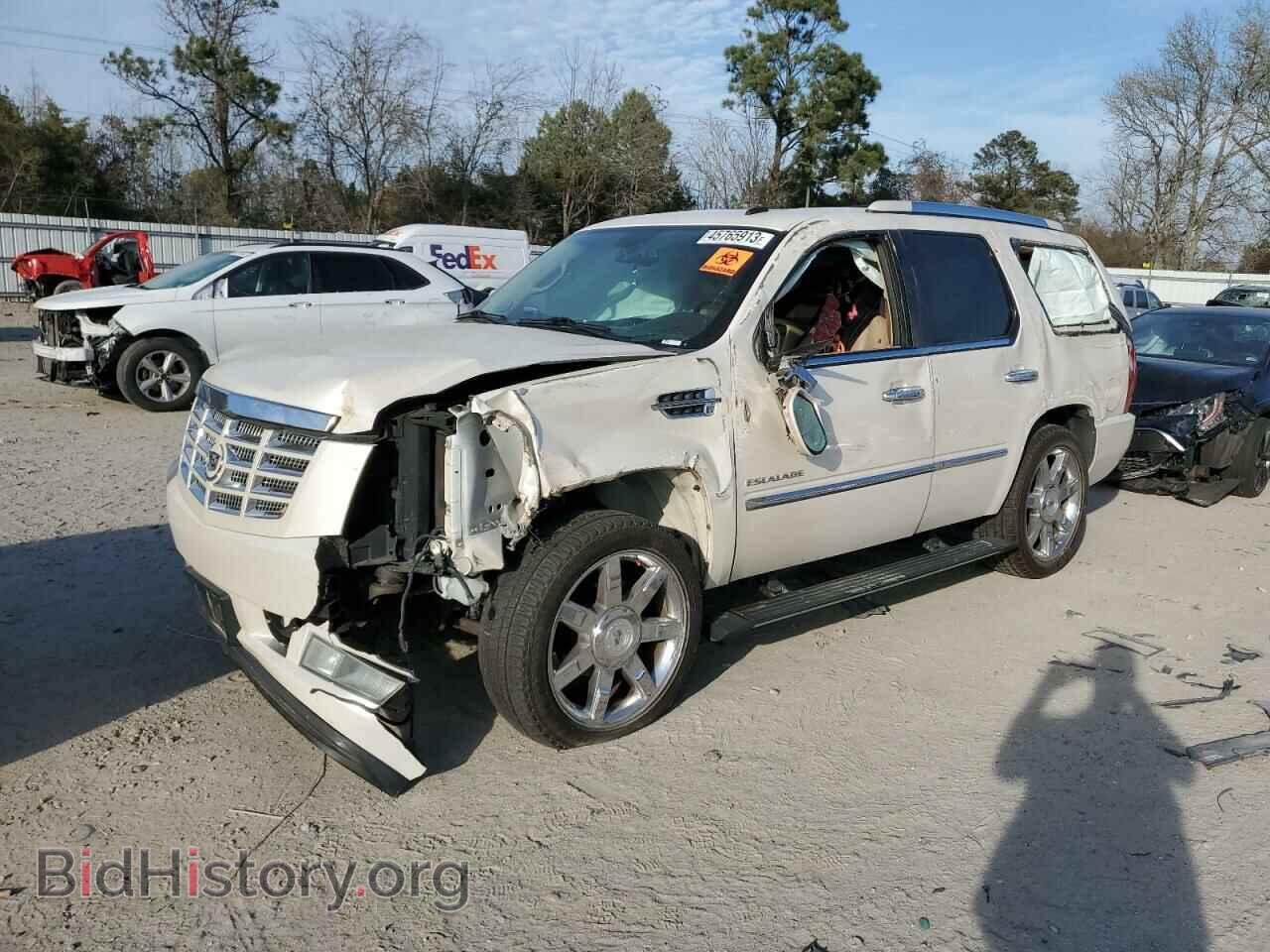 Photo 1GYUKCEF0AR151809 - CADILLAC ESCALADE 2010