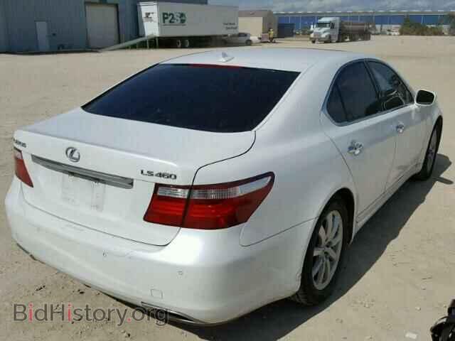 2009 LEXUS LS460 - VIN: JTHBL46F195091393 - Фото 4
