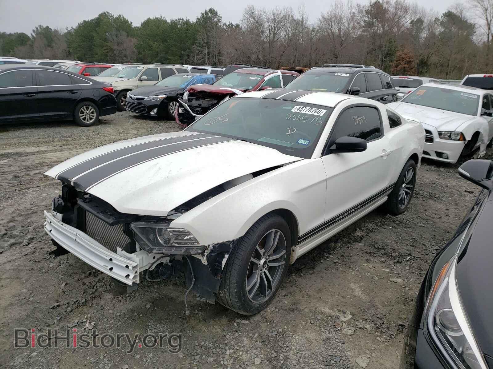 2013 FORD MUSTANG - VIN: 1ZVBP8AM5D5266575 - Фото 2